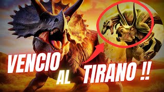 TRICERATOPS El UNICO DINOSAURIO más FUERTE aun que EL T REX [upl. by Forland]