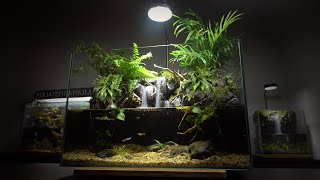 Setup Guppy Fish Aquaterrarium l Use Plastic Kettle to make aquarium l movable plants [upl. by Ahsinauq]