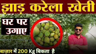 झाड़ करेला की खेती घर पर करे karelafarming Desikarelakikheti Bittergourdki Kheti [upl. by Biegel715]