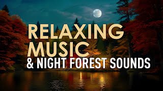 Relaxing Piano Music and Sounds of the Night Autumn Forest  Screensaver  Smart TV Background Video [upl. by East]