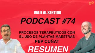 Podcast 74 RESUMEN Entrevista a Pep Cuñat [upl. by Furr31]