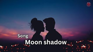 Moon shadow Song A Heartfelt Ballad of Love and Loss Red Code Music [upl. by Yekcir]