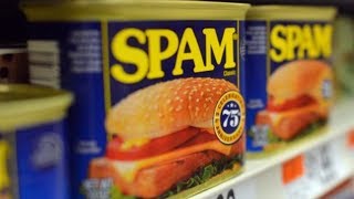 What You Should Really Know About Spam [upl. by Kotz186]