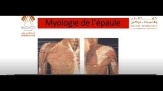 ANATOMIE FMPM MYOLOGIE DE L’ÉPAULE [upl. by Faustena55]