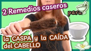 2 Remedios Caseros para la Caspa y la Caída del Cabello [upl. by Ermentrude]