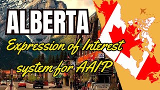 STOP Applying to AAIP Worker Streams in Alberta Without Knowing This [upl. by Nodnol]