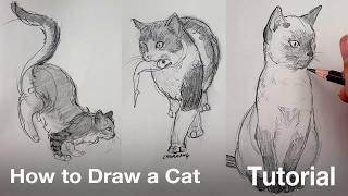 How to Draw a Cat Tutorial [upl. by Elrod]