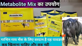 Vet UseVirbac Metabolite Mix Powdermetabolite use in hindi [upl. by Darius998]