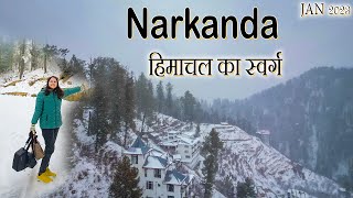 Narkanda  Most Beautiful Place Near Shimla Kufri HimachalTethys Himalaya NarkandaSnowfall 2023 [upl. by Ellenad]