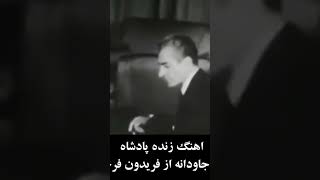 🫡🫡مسعود امینی صدای مردم 🫡🫡 [upl. by Sabanrab]