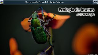 Ecologia de Insecta Autoecologia [upl. by Bayard549]