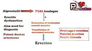 Prostaglandins Analogues Mechanism of action and their Therapeutic Use  PharmaCos [upl. by Atirma]