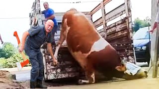 FARMING 2024 ROBOTIC MACHINE COW MILKING GRINDING AND CLEANING POWERHOUSE MACHINES MILKING FEEDING [upl. by Sharia439]