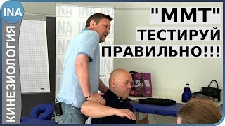 Мануальное мышечное тестирование Обучение кинезиологиии СВМолотков [upl. by Wight]