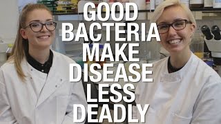 Good bacteria make disease less deadly  Shed Science [upl. by Gitlow]