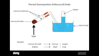 10th Science TN Types of chemical reactions வேதி வினைகளின் வகைகள் [upl. by Assilla]