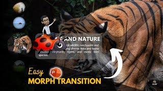 Morph Transition PowerPoint Masterclass [upl. by Yelyr]