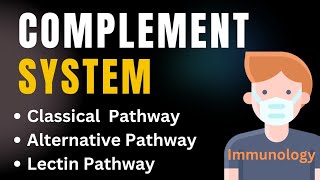 Complement system pathways in immunology Animation  Classical Alternative amp Lectin pathways [upl. by Ennagroeg]