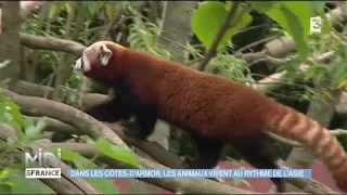 Dans les CôtesDArmor les animaux vivent au rythme de lAsie [upl. by Oriel]