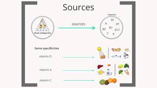 Micronutrients  basic knowledge [upl. by Lewanna]