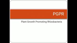 PGPR  Plant Growth Promoting Rhizobacteria  Soil Microflora [upl. by Yrahk219]