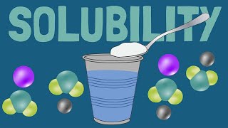 How Solubility and Dissolving Work [upl. by Duester]