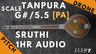 Tanpura Sruthi  Drone  G Scale or 55 Kattai  Pa Panchamam Pancham  208Hz [upl. by Rufena]