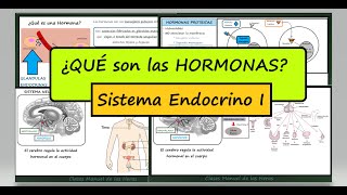 Sistema Endocrino 1 Introducción ¿Qué es una Hormona Tipos de Glándulas Biología Secundaria [upl. by Lynnette]