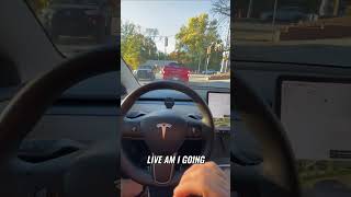 🚗💨 Tesla Takes the Wheel Crazy Drive to Lowes 😳 [upl. by Assyli16]