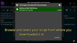 How to use Lua Scripts  Game Guardian  2019  Full Tutorial [upl. by Nimajeb]
