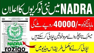 NADRA Jobs 2024  National Database amp Registration Authority Jobs 2024 [upl. by Adnowat]