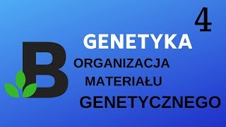 Organizacja materiału genetycznego  genetyka  KOREPETYCJE z BIOLOGII  194 [upl. by Aminta763]