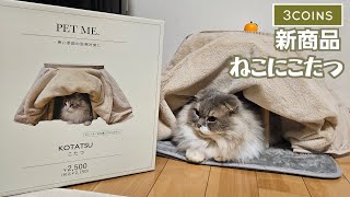 猫はこたつで丸くなる？ 3COINSの新商品KOTATSUこたつ試してみました！ [upl. by Hanzelin576]