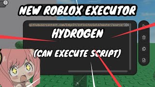 New Roblox Executor  Hydrogen  Can Execute Script [upl. by Etnasa613]