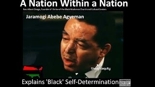 RBG A Nation Within a Nation Jaramogi Abebe Agyeman Explains Black SelfDetermination [upl. by Orlov]