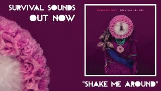 Rubblebucket  Shake Me Around Official Audio [upl. by Vladimir475]