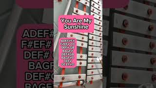 YOU ARE MY SUNSHINELYRE XYLOPHONE COVER [upl. by Ia486]