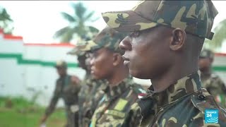 En Côte dIvoire une quotarmée vertequot contre la déforestation • FRANCE 24 [upl. by Freddy]