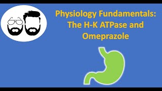 Physiology Fundamentals HK ATPase and Omeprazole [upl. by Noreh]