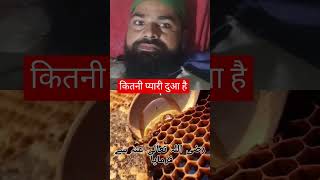 नबी का फरमान दुआ वजीफा 🤲💕shoras ishlamic viralvideo muslimah byaan allah duaa ishlaamic [upl. by Adala]