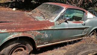 1967 Mustang 390 GT Fastback Barn Find Parked Since 1973 Price Revealed [upl. by Obnukotalo]