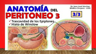 🥇 PERITONEO 33 Trascavidad de los Epiplones Bolsa Omental [upl. by Ainoz83]