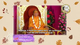 quotWho Am I Who Is Minequot Part 438  by Jagadguru Shree Kripalu Ji Maharaj Mini Series [upl. by Rratsal]