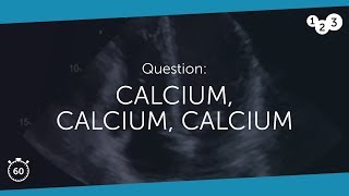 60 Seconds of Echo Teaching Question Calcium Calcium Calcium [upl. by Rosmunda]