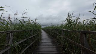 Relaxing Morning Rainy Walk around UNESCO World Heritage Site  Upper Swabia Germany [upl. by Raynata]