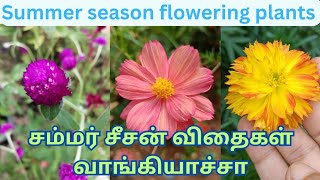 Easy growing 10 best summer flowering plants🌱 summer season flowering plants tamil  summer seeds [upl. by Dalis]