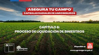 Cápsulas radiales quotAsegura tu Campoquot  Capítulo 6  Proceso de liquidación de siniestros [upl. by Halette236]