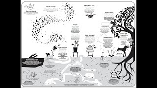 GEM Ecosysteem Mentale Gezondheid Elementen [upl. by Anyaj]