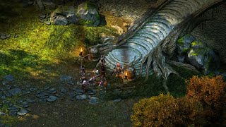 Pillars of Eternity Gameplay Part 86 [upl. by Kcira617]