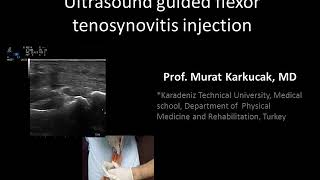 Ultrasound guided flexor tenosynovitis injection by Prof Murat Karkucak MD [upl. by Rengia]